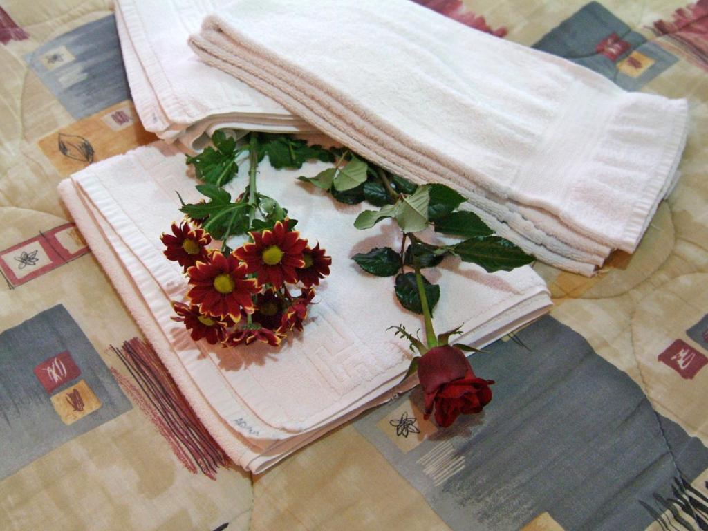 Hotel Athina Delphi 객실 사진