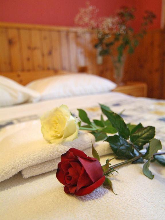 Hotel Athina Delphi 객실 사진